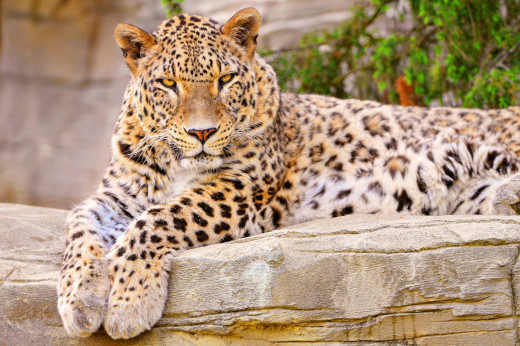 608873 (a): :2560x1700